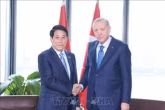 Le président vietnamien Luong Cuong (gauche) a rencontré dans l’après-midi du 24 septembre (heure locale) à New York, le président turc Recep Tayyip Erdoğan. Photo : VNA