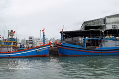 Des bateaux de pêche accostent au port de Quy Nhon, dans la province de Gia Lai, pour y effectuer les formalités d'import-export. Photo : VNA