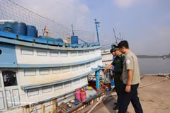 Inspection des bateaux de pêche ancrés à Cat Lo (quartier de Phuoc Thang, Hô Chi Minh-Ville). Photo : VNA