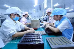 Des ouvrières assemblent des composants électroniques sur la chaîne de production de Bao Sen Co., Ltd. (Bac Giang). Photo : VNA