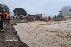 Depuis le début de l'année, les catastrophes naturelles ont causé des pertes économiques estimées à plus de 650 milliards de dôngs (24,72 millions de dollars). Photo d'illustration : VNA