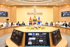 La deuxième réunion spéciale des ministres de l'économie de l'ASEAN concernant les négociations pour la mise à niveau de l'accord sur le commerce des marchandises de l'ASEAN (ATIGA). Photo : VNA