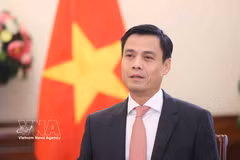 Le vice-ministre des Affaires étrangères Dang Hoang Giang. Photo : VNA