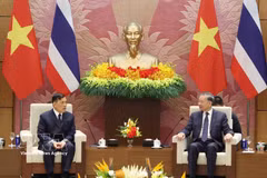 Le secrétaire général du Parti communiste du Vietnam et président To Lam (droite) et le Roi de Thaïlande Maha Vajiralongkorn Phra Vajiraklaochaoyuhua, à Hanoï. Photo : VNA