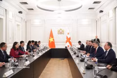 La rencontre entre la vice-présidente vietnamienne Vo Thi Anh Xuan et le président géorgien Mikheïl Kavelashvili à Tbilissi. Photo : VNA