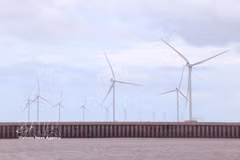 Ca Mau mise sur le développement des énergies renouvelables grâce à son atout que constitue un littoral de plus de 310 km. Photo : VNA