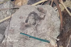 Des objets découverts dans la grotte de Da Sap. Photo : VNA