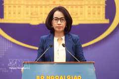 La porte-parole du ministère des Affaires étrangères, Pham Thu Hang. Photo : VNA