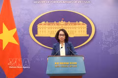 La porte-parole du ministère des Affaires étrangères Pham Thu Hang. Photo : VNA
