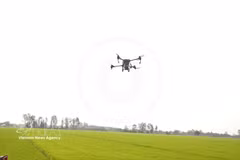 Un drone effectue une opération d'épandage d'engrais dans un champ. Photo : VNA.