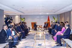 Le secrétaire général du Parti communiste du Vietnam et président vietnamien, To Lam, rencontre à Colombo, Mohan Pandithage, PDG du groupe Hayleys PLC. Photo : VNA