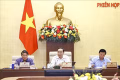 Le président de l'Assemblée nationale Tran Thanh Man préside la séance de travail. Photo : VNA