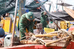 Des gardes-frontières aident les pêcheurs à éviter le typhon MAYSAK. Photo : VNA