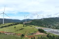 Le parc éolien de Lien Lap, situé dans la commune de Tan Lap, province de Quang Tri. Les énergies propres constituent un axe prioritaire de coopération entre le Vietnam et le Canada. Photo : VNA
