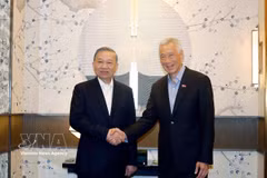 Le secrétaire général du Parti communiste du Vietnam et président vietnamien To Lam (droite) rencontre à Singapour Lee Hsien Loong, ministre d’État senior et conseiller de haut rang du Parti d’action populaire. Photo : VNA