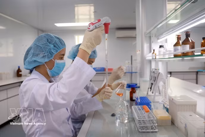 Des chercheurs de l’Institut des vaccins et des produits biologiques médicaux, relevant du ministère de la Santé, mènent des recherches et procèdent au contrôle des vaccins. Photo: VNA