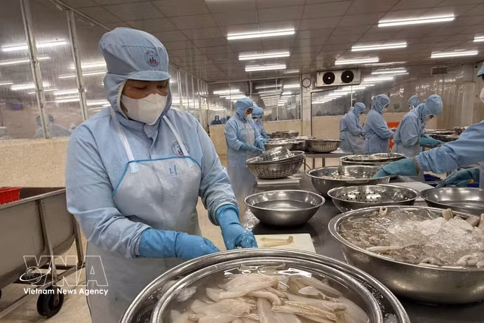 Les exportations vietnamiennes de produits aquatiques visent 12 milliards de dollars en 2026. Photo: VNA
