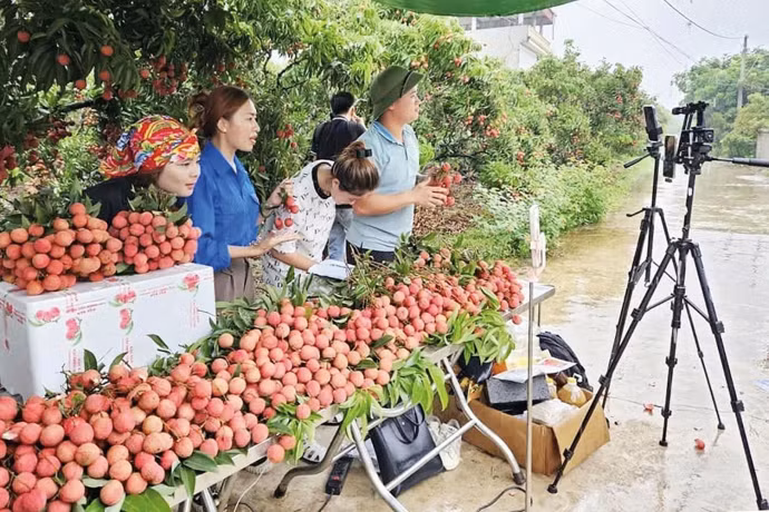 Le livestream, les vidéos et les réseaux sociaux sont en train de devenir de véritables “boutiques en ligne”, permettant aux produits agricoles d’atteindre directement les consommateurs. Photo: VNA