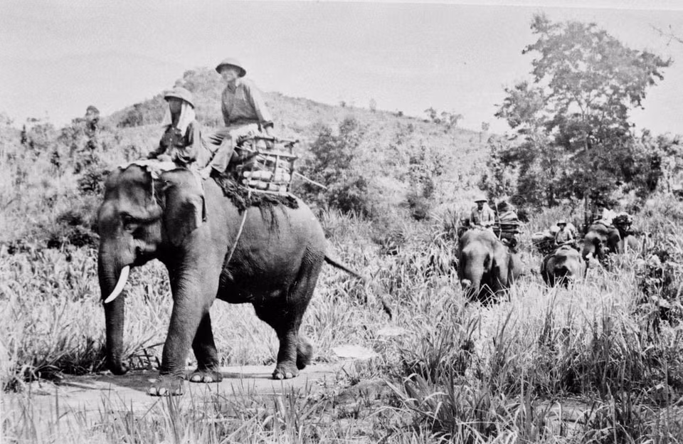 Les soldats de l'unité 250 (province de Gia Lai) transportent des marchandises vers le champ de bataille. Photo : VNA