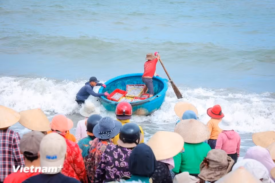 Mareyeurs et pêcheurs échangent dans une ambiance cordiale, avec des sourires bienveillants. Face au marché aux poissons de Vinh Tân, on ressent aisément le lien profond et durable qui unit les hommes à l’océan. Photo: Vietnam+