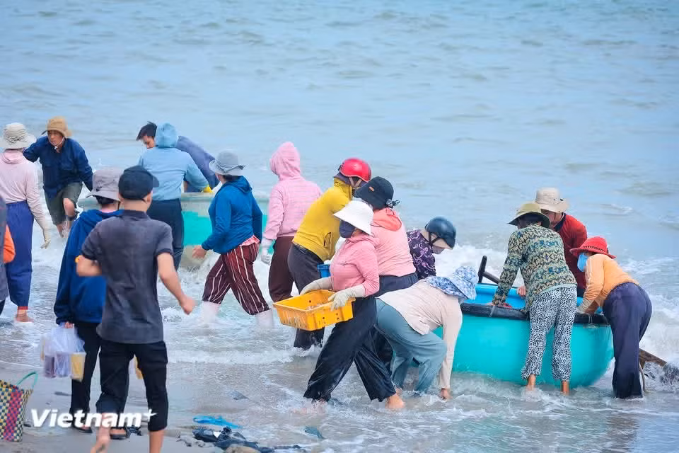 Chaque coracle et chaque bateau en bois accostent sous les acclamations joyeuses des habitants du village de pêcheurs. Photo: Vietnam+