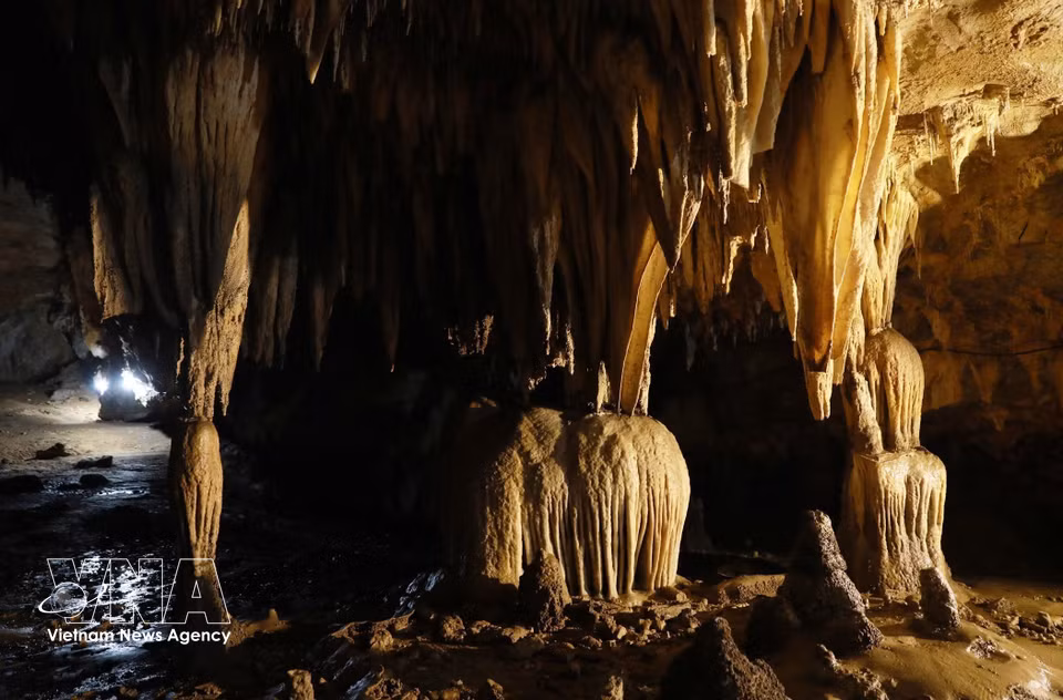 Façonnées au fil de millions d’années, les délicates formations de stalactites composent un fascinant paysage minéral, où la roche semble s’être figée dans un mouvement perpétuel.