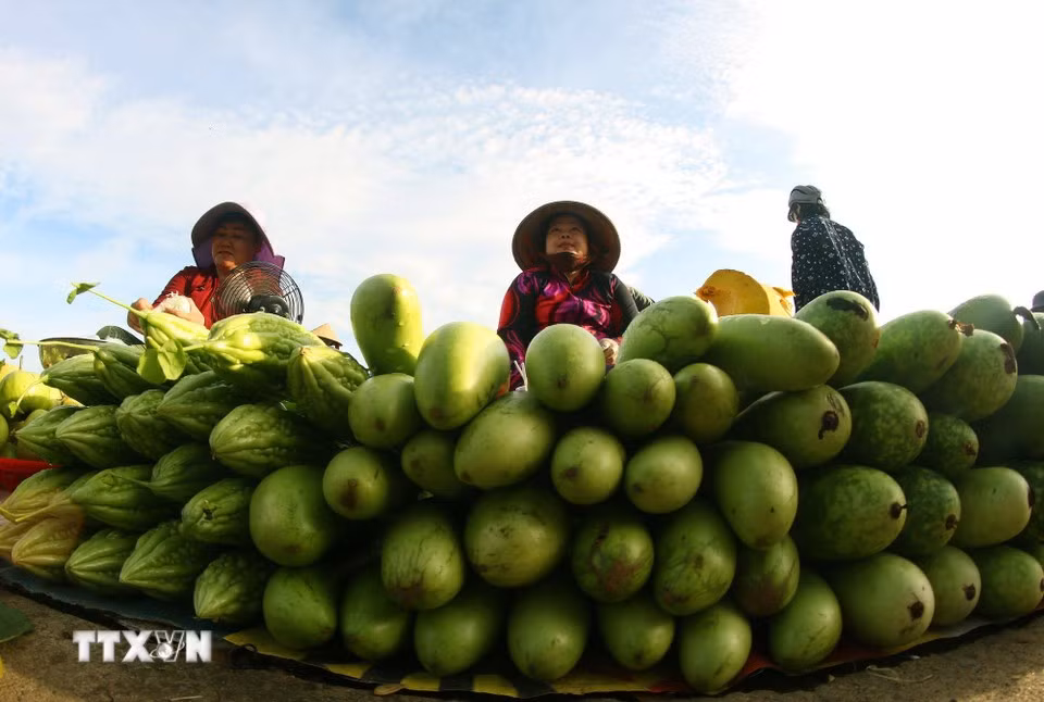 La vente de produits agricoles sur ces étals traditionnels en facilite l’accès aux consommateurs tout en permettant aux habitants de valoriser les récoltes de leurs propres jardins.