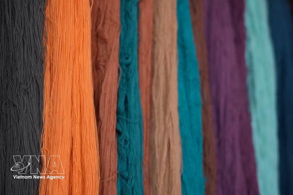 Les matières premières utilisées pour le tissage traditionnel du brocart comprennent le coton, le lin, le chanvre et la soie. Les artisans privilégient également les teintures naturelles, obtenues à partir de feuilles, d’écorces et de racines, notamment de curcuma et d’écorce de l’arbre sui. Photo : VNA