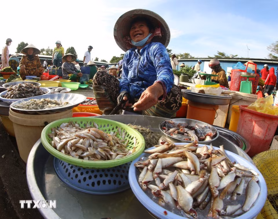 À l’image du quotidien de ses habitants, le marché de Vi Thanh perpétue l’âme rurale au cœur d’une ville en pleine mutation.