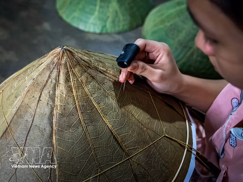 Les feuilles de lotus sont disposées avec soin et régularité sur la structure . Deux couches de feuilles se chevauchent, conférant au chapeau épaisseur et solidité.