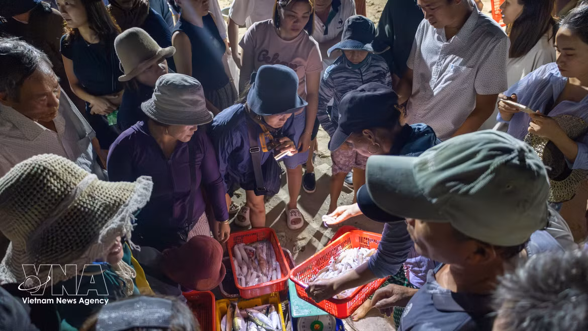 Da Nang : le marché de Tam Tien, au rythme des marées et des nuits de pêche