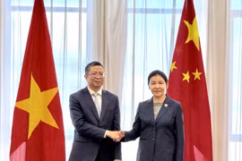 L’ambassadeur du Vietnam en Chine, Pham Thanh Binh, est allé saluer le 19 mars la ministre chinoise de la Justice, He Rong, à l'occasion du début de son mandat en Chine. Photo : VNA