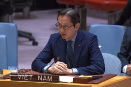 L'ambassadeur Do Hung Viet, chef de la Mission permanente du Vietnam auprès des Nations unies. Photo : VNA