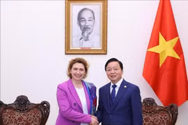 Le vice-Premier ministre Tran Hong Ha a reçu, jeudi 13 mars à Hanoï, Mme Nicola Beer, vice-présidente de la Banque européenne d'investissement. Photo : VNA