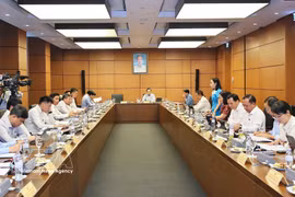 Les députés de Ho Chi Minh-Ville discutent en groupe. Photo : VNA