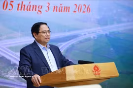 Le Premier ministre Pham Minh Chinh prend la parole lors de la réunion. Photo : VNA