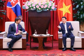 Le général Luong Tam Quang (droite), ministre de la Sécurité publique, a reçu à Hanoï Robert Kaliňák, vice-Premier ministre et ministre slovaque de la Défense. Photo : VNA