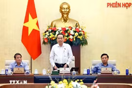 Le président de l'Assemblée nationale Tran Thanh Man. Photo : VNA