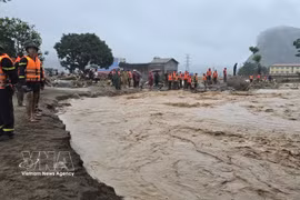 Depuis le début de l'année, les catastrophes naturelles ont causé des pertes économiques estimées à plus de 650 milliards de dôngs (24,72 millions de dollars). Photo d'illustration : VNA