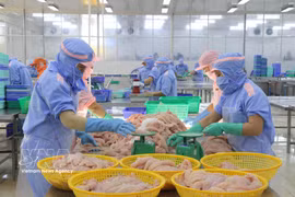 Transformation de produits de la mer destinés à l'exportation à An Giang. Photo : VNA 