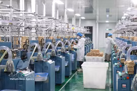 Les activités de production des entreprises à capitaux étrangers de Tay Ninh contribuent à dynamiser les exportations, à créer des emplois. Photo d'illustration : VNA