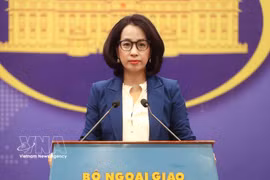 La porte-parole du ministère des Affaires étrangères, Pham Thu Hang. Photo : VNA