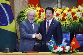 Le président Luong Cuong et le président Luiz Inácio Lula da Silva rencontre la presse à Hanoï. Photo : VNA