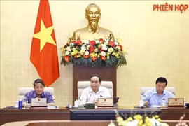 Le président de l'Assemblée nationale Tran Thanh Man préside la séance de travail. Photo : VNA