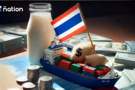 La Thaïlande continue de dominer le marché laitier de l'ASEAN, avec des exportations en hausse de 11,5 % en 2024 pour atteindre 582,62 millions de dollars. Photo : VNA