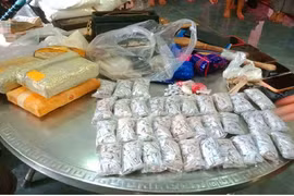 23,4 kg de drogues et de précurseurs chimiques saisis. Photo : https://baothanhhoa.vn