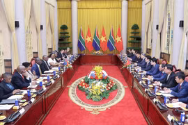 Entretien entre le président de la République d’Afrique du Sud, Matamela Cyril Ramaphosa, et le président Luong Cuong. Photo : VNA