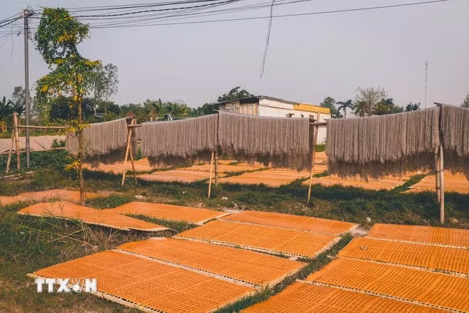 Actuellement, le village de Cu Da compte 17 à 18 ménages produisant des vermicelles de canna (miên dong), ce nombre est bien inférieur à celui de plus de 100 ménages des années précédentes. Photo : Van Chi/VNA