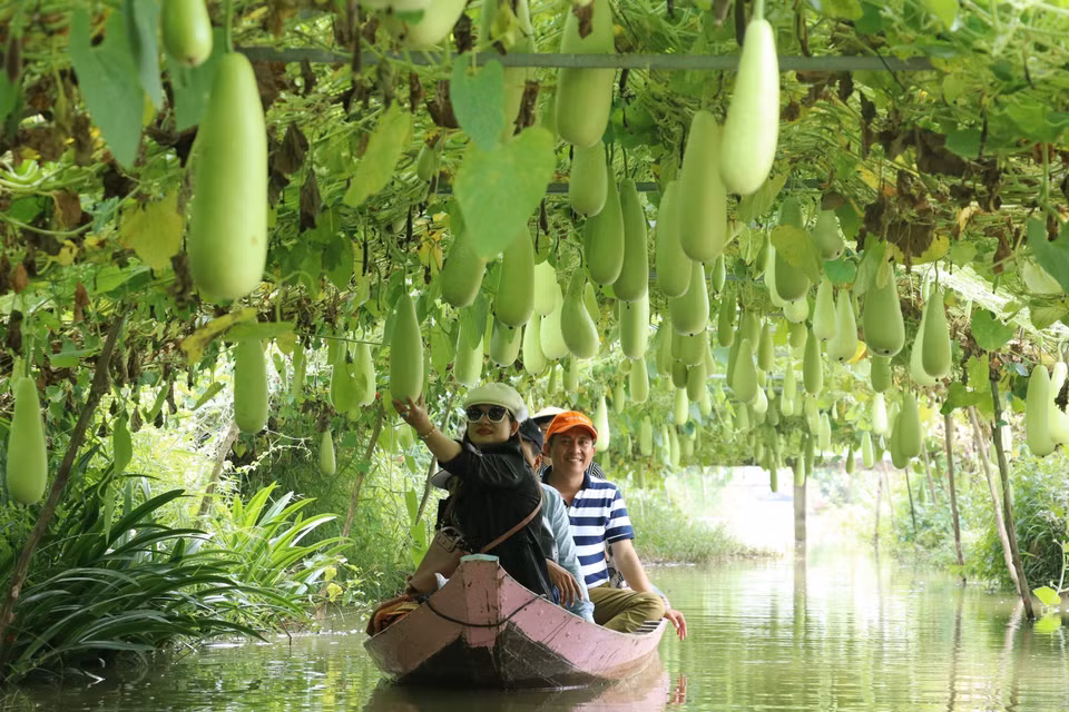 Des touristes font une excursion en bateau pour visiter la zone de culture de gourdes de la zone touristique de Tran Ba ​​​​Chuot, district de Lai Vung.