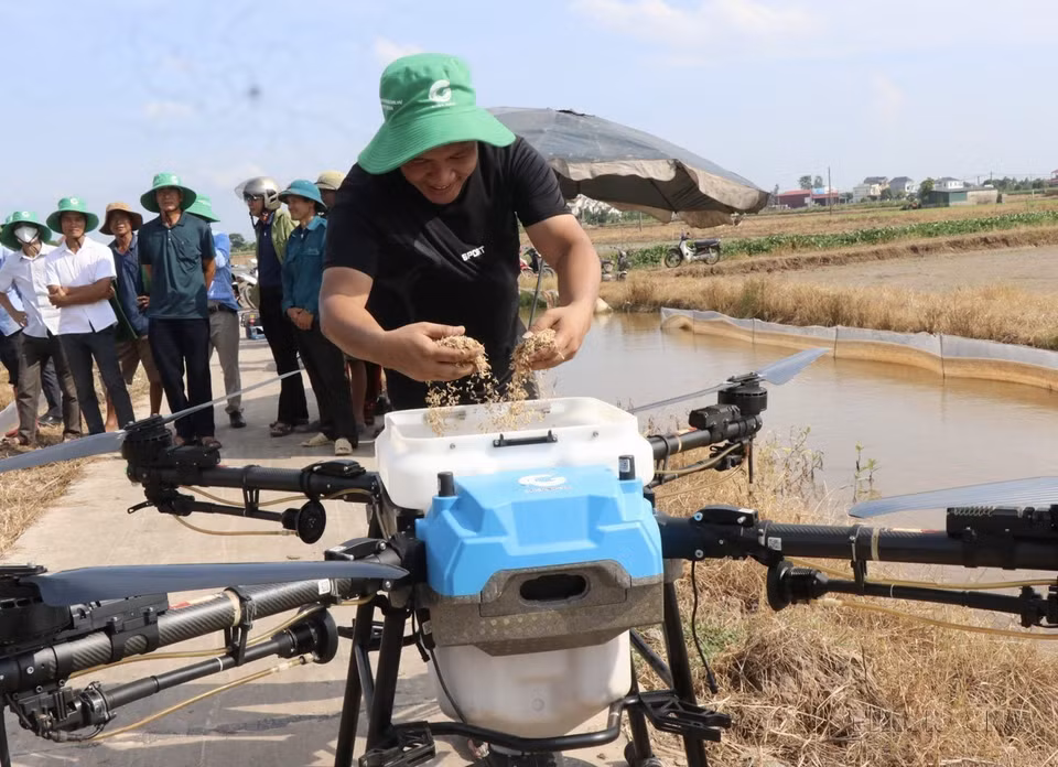 Des agriculteurs de Bac Ninh se préparent à semer des graines de riz à l'aide de drones.